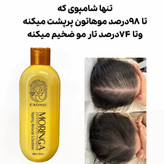 شامپو ضدریزش مو مورینگا بیز صددرصد اصلی